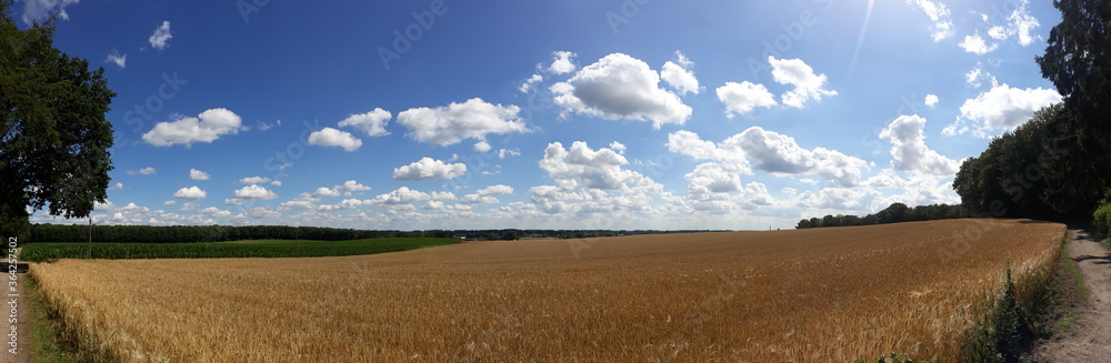 Breites Panoramabild Anblick einer Landschaft mit Getreide Sommerhimmel und schönen Wolken auf dem Dorf, ländliche Szene