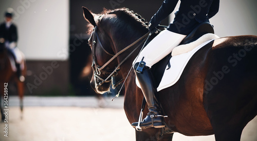 A dark Bay horse in equestrian gear with a rider in the saddle looks at a competitor in a dressage competition.