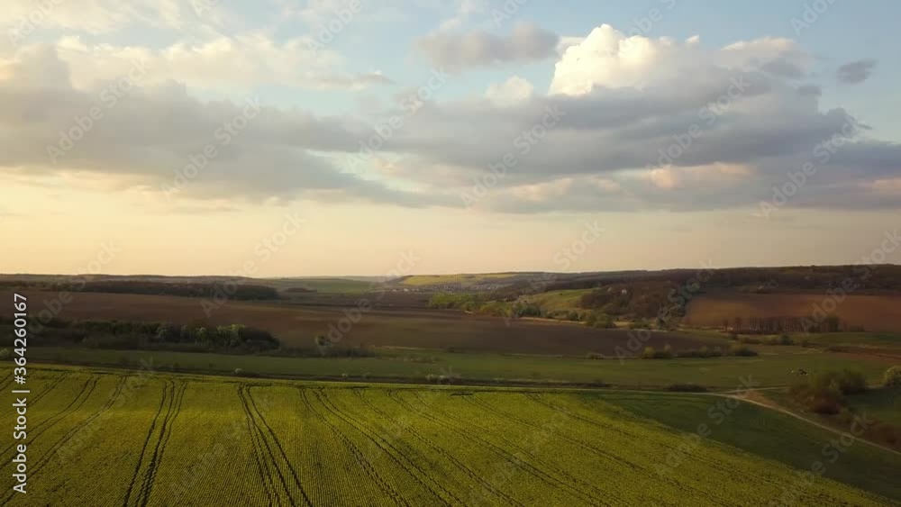 Aerial view of bright green agricultural farm field with growing rapeseed plants. Aerial view of bright green agricultural farm field with growing rapeseed plants.