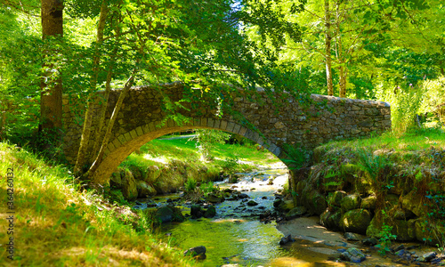 beautiful bridge and river in forest- Aveyron in France