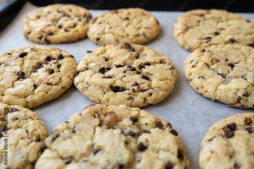 fresh baked classic chocolate chip cookies with nuts on the oven-tray