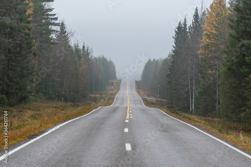Long road in autumn forest in Finland