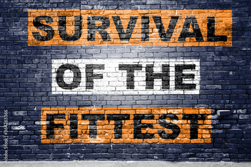 Tableau sur toile Survival of the Fittest Motivation Quote