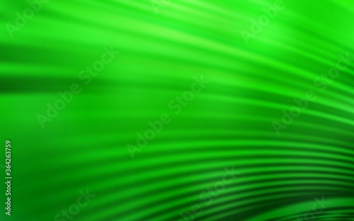 Light Green vector backdrop with wry lines. Modern gradient abstract illustration with bandy lines. A completely new design for your business.