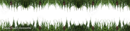 Festive Christmas border or banner (mock up, seamless pattern) on a white background with copy space for your text. Thuja green branches are decorated with cones.