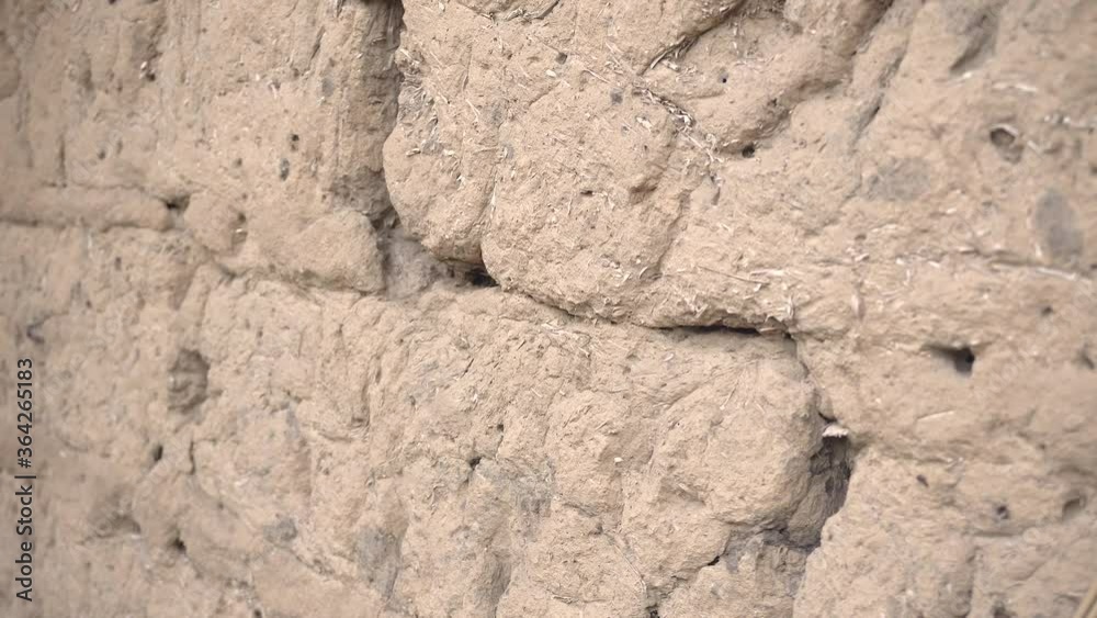 Nest Wasps in Bricks. Wasp Nest with Wasps on a Rubble Wall Nest Wasps in Bricks. Wasp Nest with Wasps on a Rubble Wall