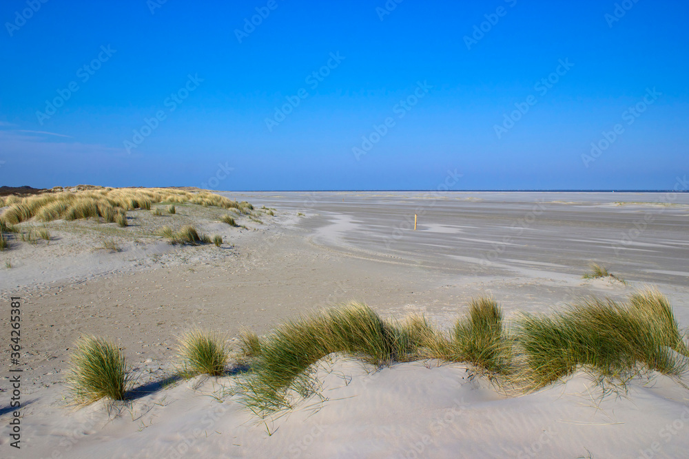 the dunes, Renesse, the Netherlands