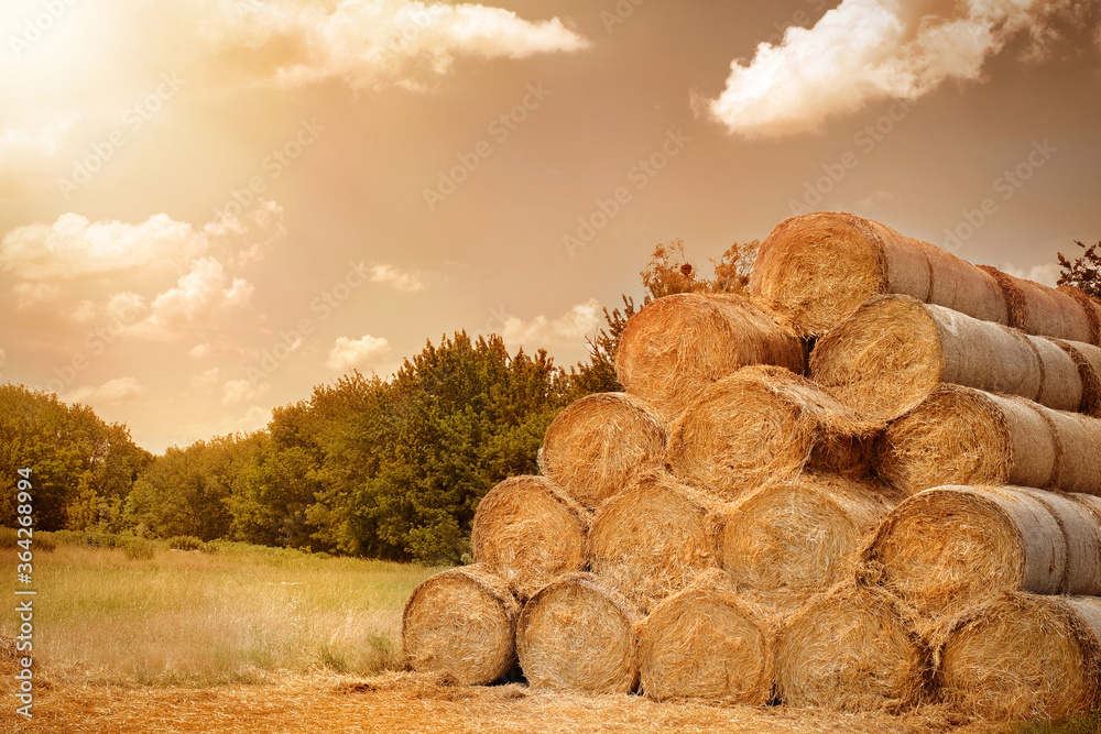 Haystack on the field on a sunny day. Harvesting hay. Agriculture, countryside. Haystack on the field on a sunny day. Harvesting hay. Agriculture, countryside.
