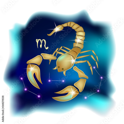 Scorpio horoscope sign in twelve zodiac with galaxy stars background, graphic scorpion. Scorpio zodiac sign. Realistic hand drawing scorpion illustration. Zodiac characteristic