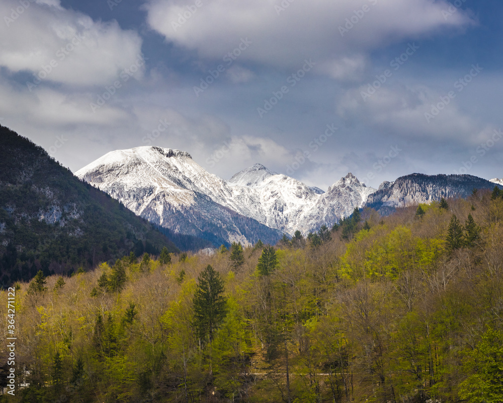 Mountains alps spring forest sky clouds white snow