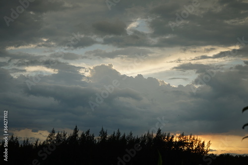 The setting sun was shining with golden light and gray clouds covering the sky with trees in the foreground for background