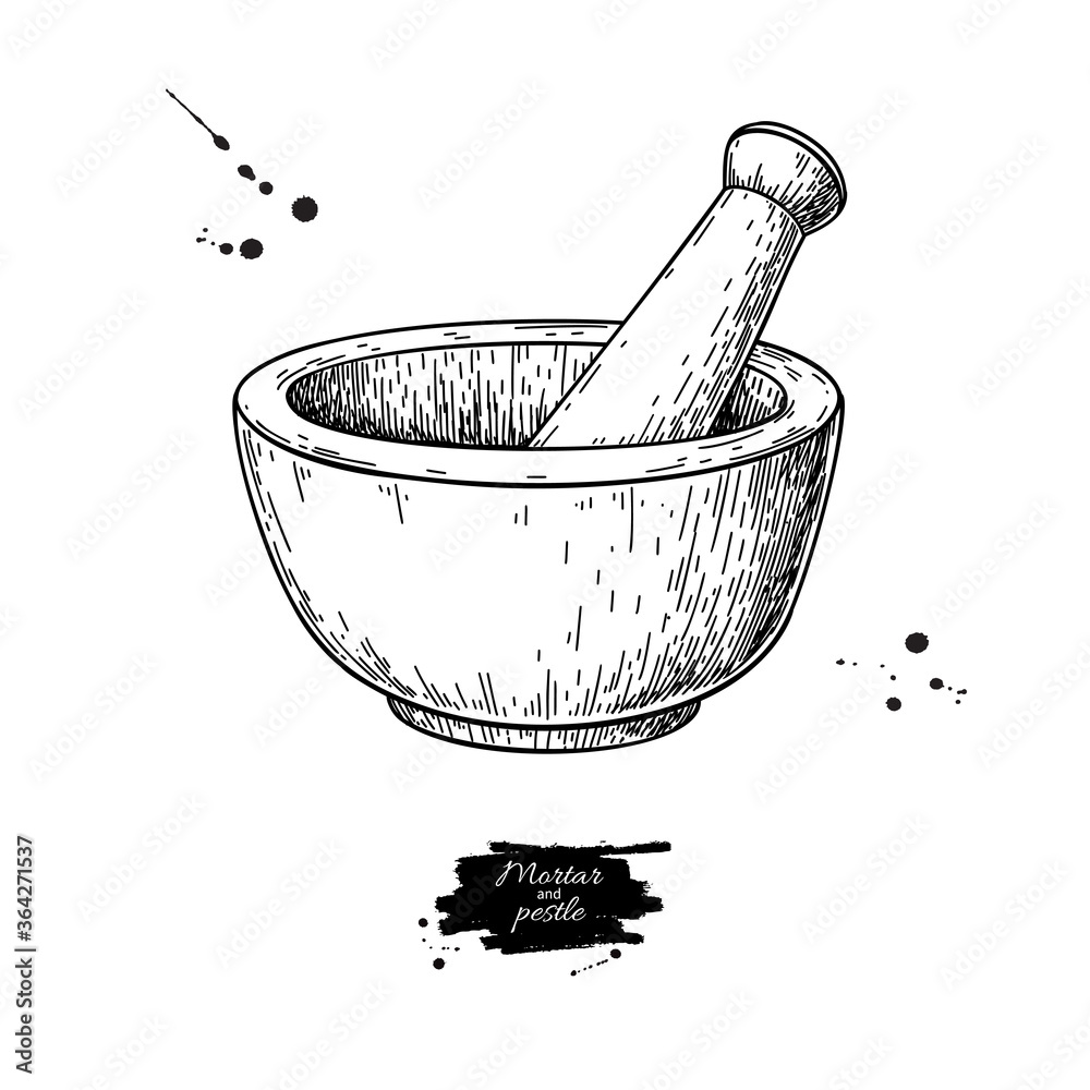 Mortar and pestle vector drawing. Engraving style pharmacy and medicine object. - obrazy, fototapety, plakaty 