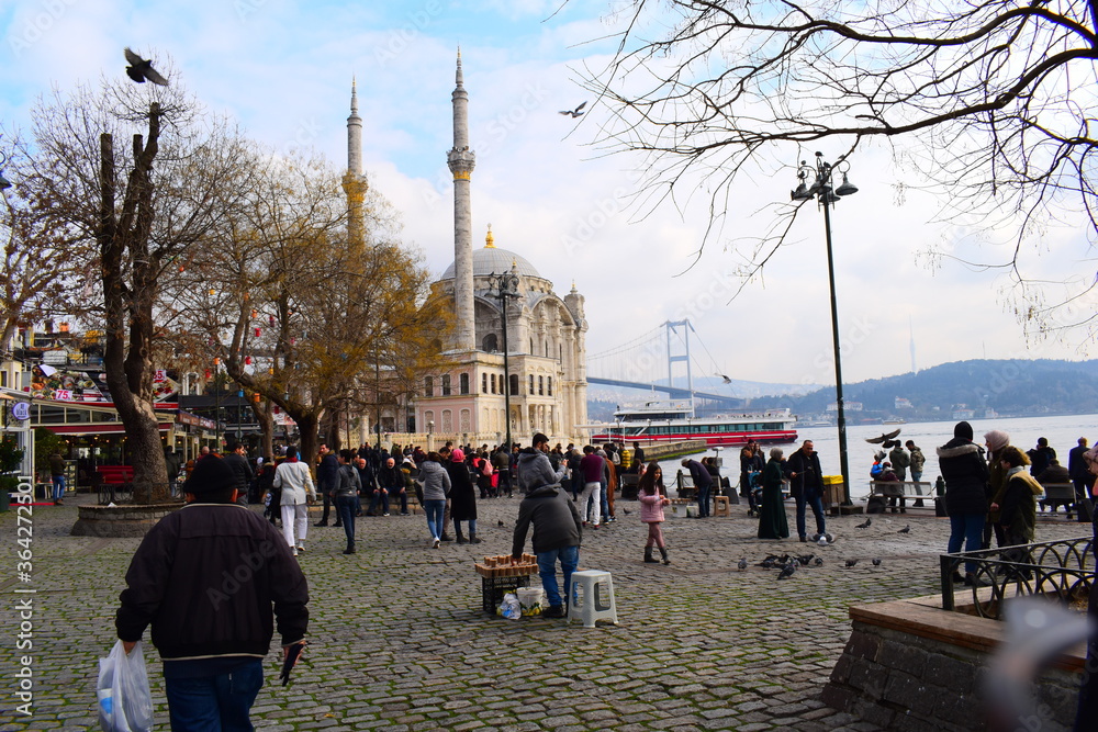 Obraz premium Bosphorus Bridge View