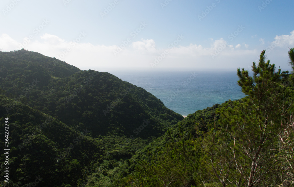 高台から見る水平線の見える海と緑の丘 高台から見る水平線の見える海と緑の丘