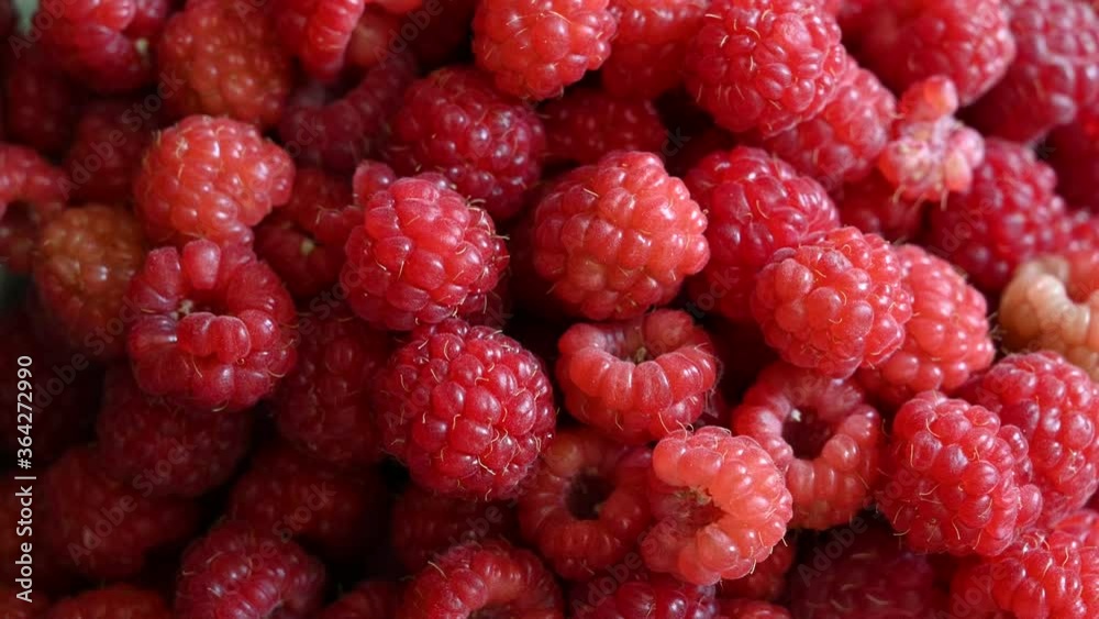 collected red berry raspberry and a woman's hand that takes one berry from the pile collected red berry raspberry and a woman's hand that takes one berry from the pile
