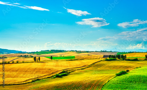 Tuscany countryside panorama, rolling hills and green fields. Pisa, Italy © stevanzz