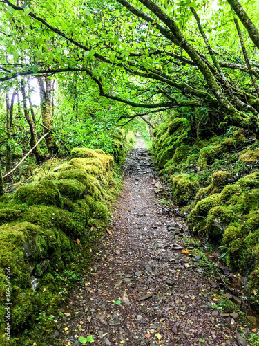 Green Hiking Trail in the Scottish Highlands.