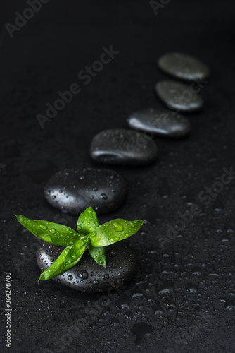 Spa-concept with zen stones...
