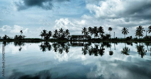 Silhouette of palm trees in the backwaters of Alleppey in Kerala. India. photo
