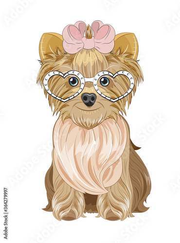 Yorkshire terrier dog in heart sunglasses