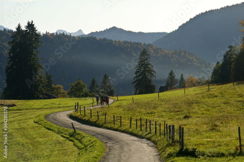 winding road with family walking in scenic bavarian alps between meadows near Walchensee