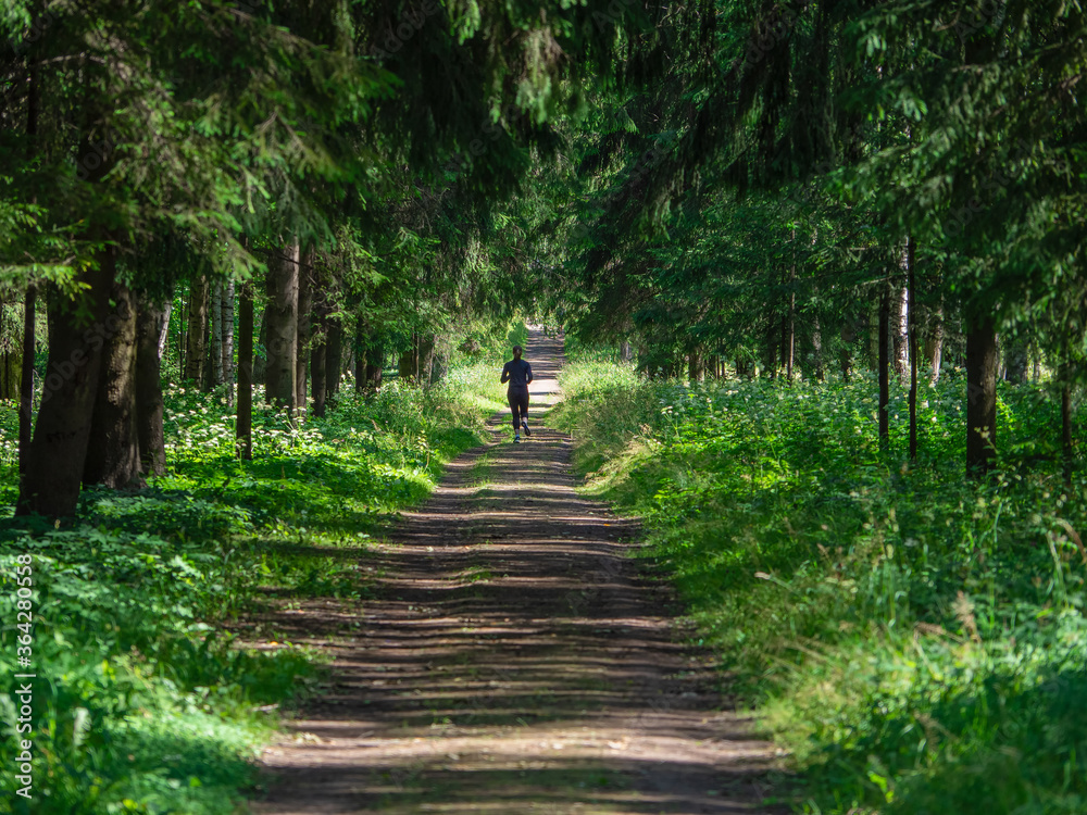 Fototapeta premium Runner on a shady forest path. Summer runs in nature