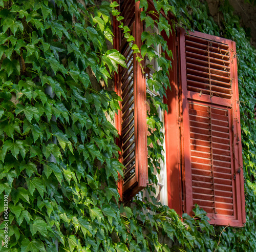 Antique facade covered in i...