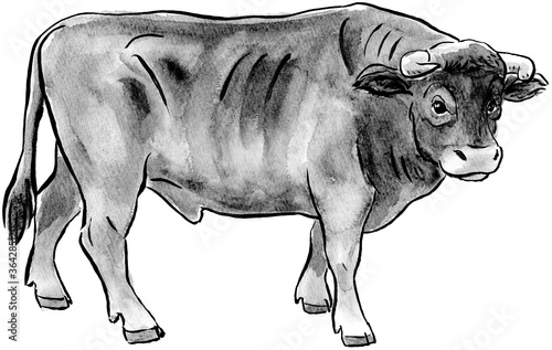 水墨画風の和牛の絵