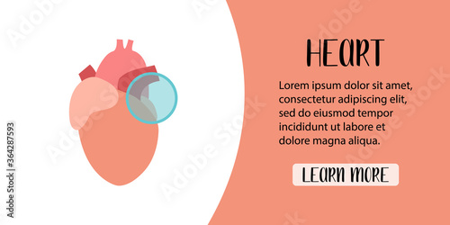 Human heart. Cardiology. Diagnostics of cardiovascular diseases. Electrocardiography. Vector flat illustration. Perfect for banner, landing page