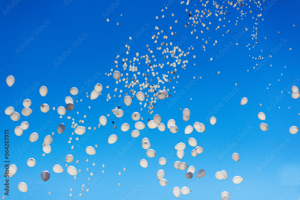 flying baloons on the blue sky flying baloons on the blue sky