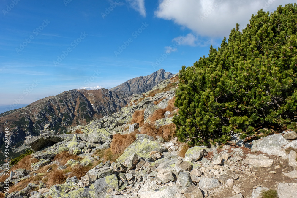 Great Cold Valley in Vysoke Tatry (High Tatras), Slovakia. The Great Cold Valley is 7 km long valley, very attractive for tourists