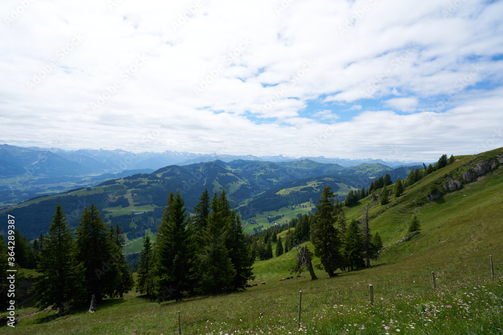 summer scenery view from the mittag mountain in bavaria