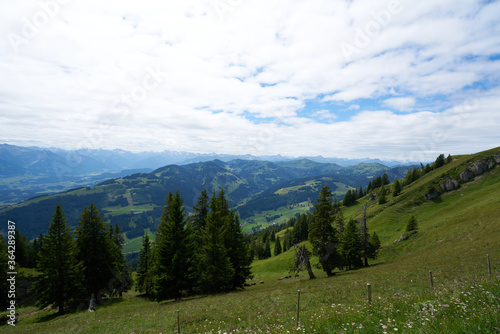 summer scenery view from the mittag mountain in bavaria © Fizzl