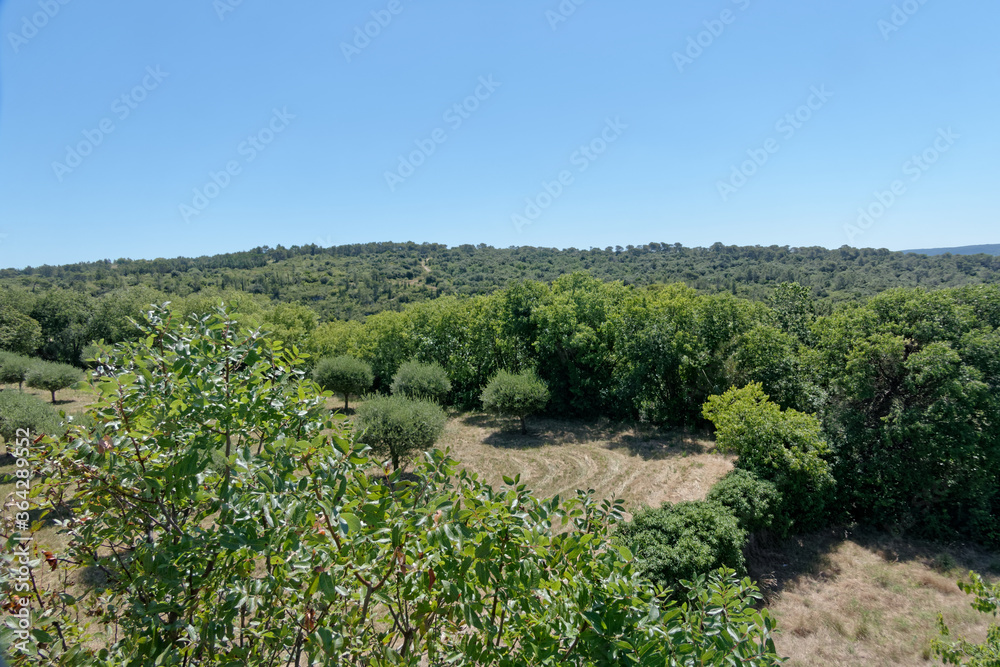 Panorama sur les garrigues autour de la commune d'Uzès dans le Gard - France