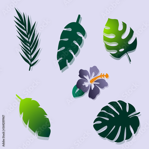 set of Hawaiian leaves