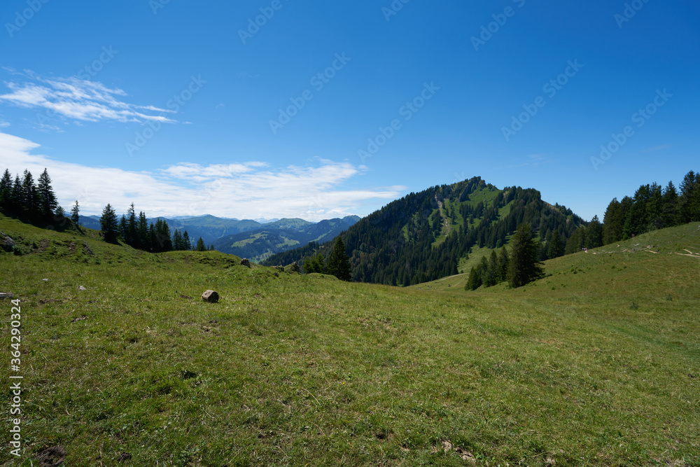 summer scenery view from the mittag mountain in bavaria