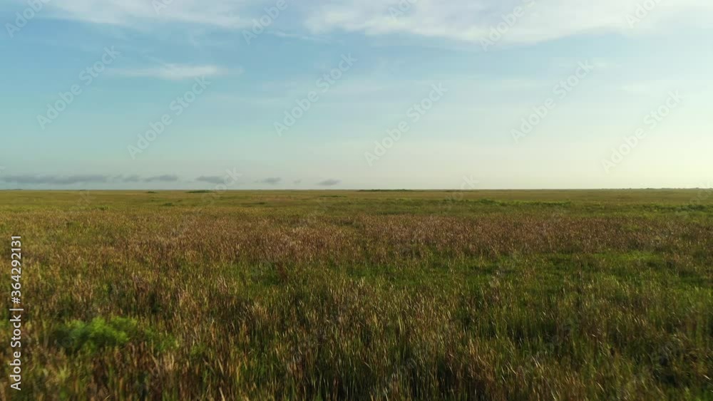 Beautiful flyover Florida Everglades 4k Beautiful flyover Florida Everglades 4k