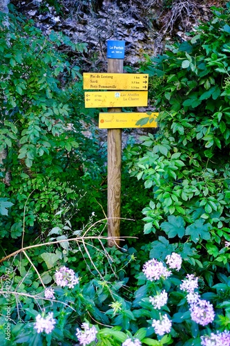 RANDO FORET DE SAOU DROME