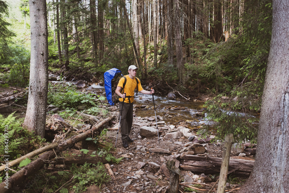 Obraz premium Man hiking in forest. Trekking journey and travel concept