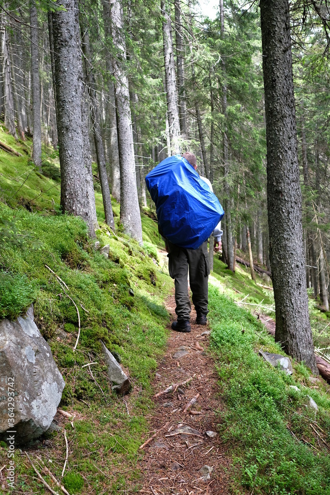 Man hiking in forest. Trekking journey and travel concept Man hiking in forest. Trekking journey and travel concept