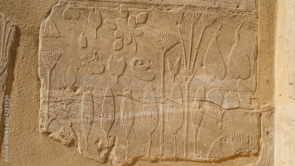 The Botanical Chamber, the Temple of Karnak hieroglyphic of exotic plants and birds on wall