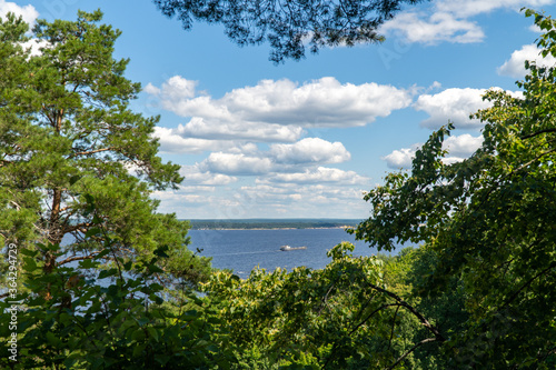 Fototapeta Naklejka Na Ścianę i Meble -  River and trees in summer