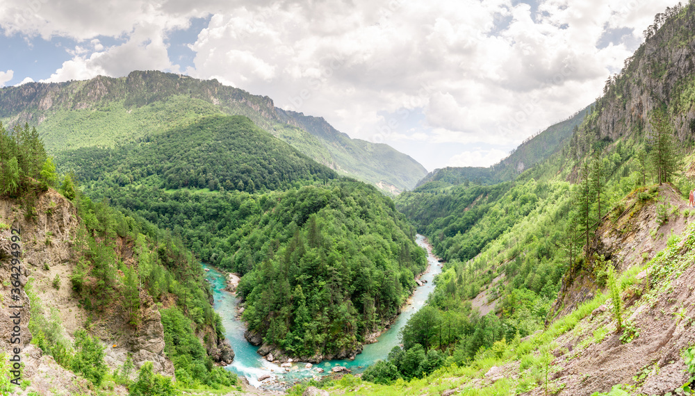 Naklejka premium Panoramic view at Tara river bend and forest on the river bank in sunny summer day