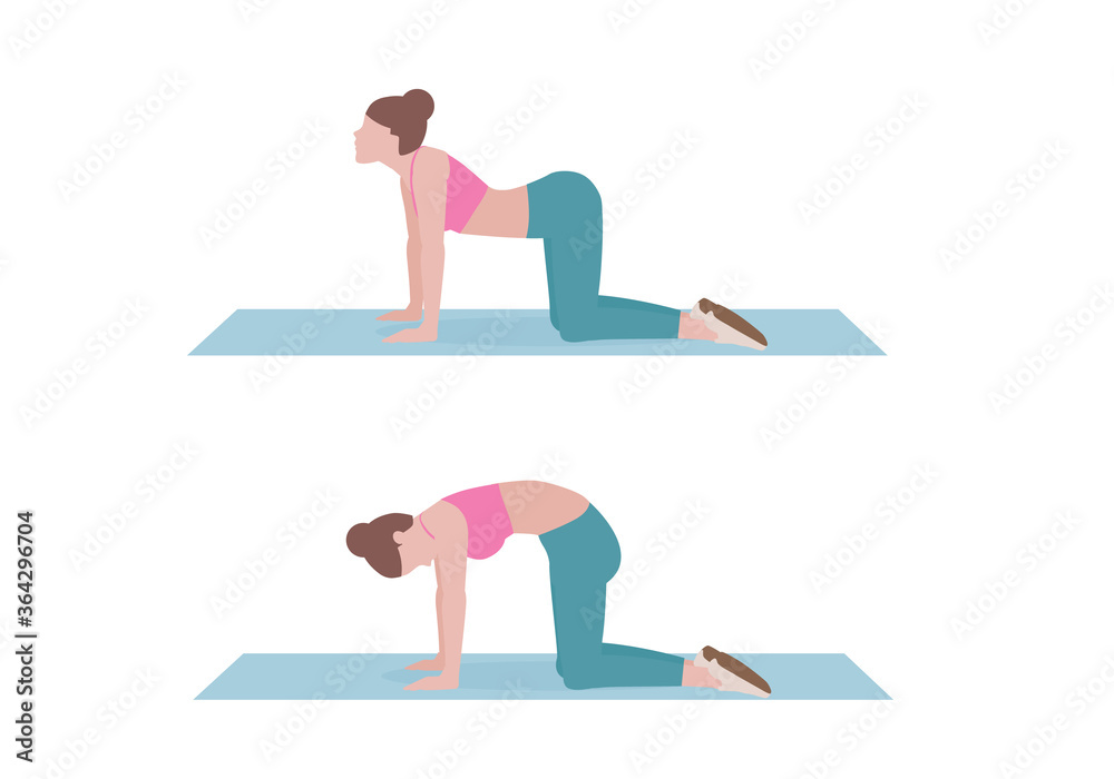 Woman Doing Exercises Step By Step Instruction For Doing Cat Cow 