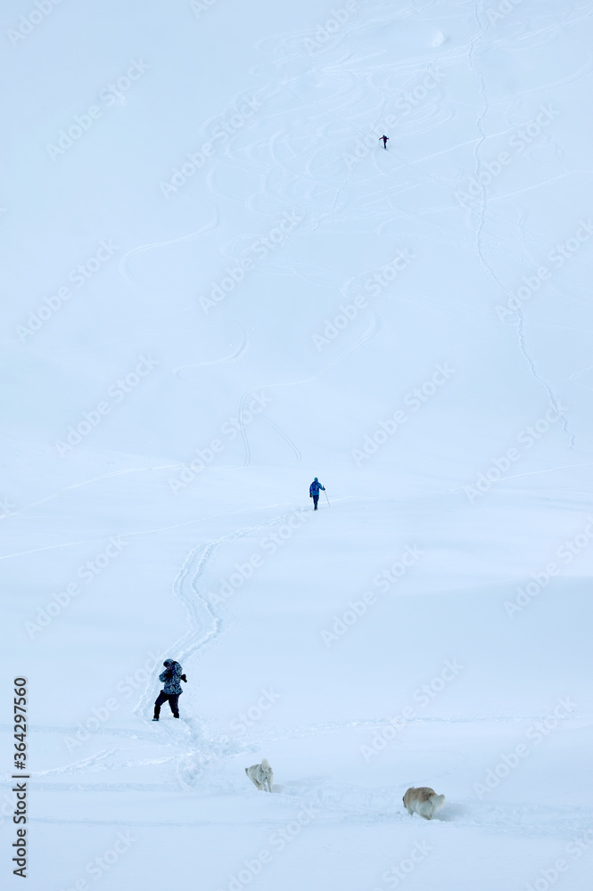 Trekking in harsh winter condition. Winter alpine landscape