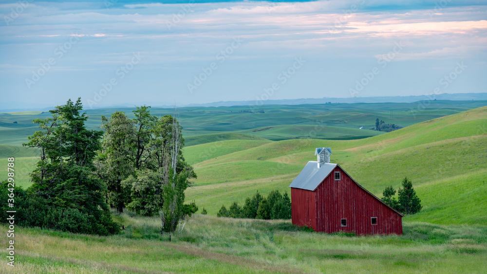 Red Barn morning over the rolling hills of the Palouse farm fields
