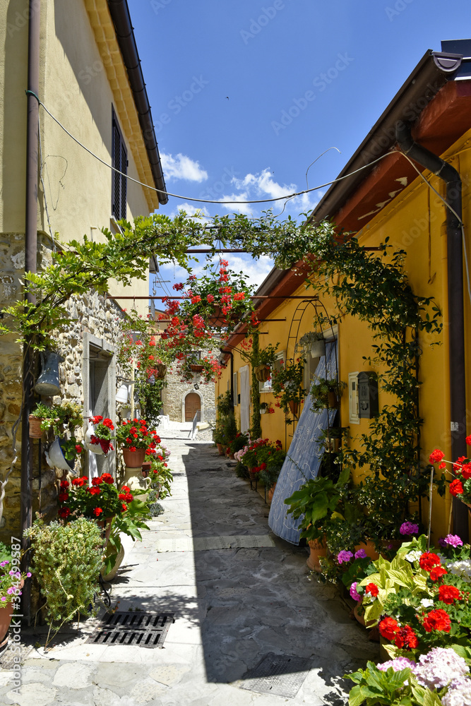 A street decorated with flowers in the medieval town of Cairano in the province of Avellino, Italy.