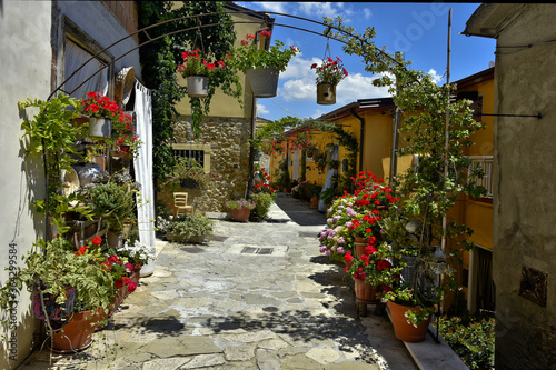 A street decorated with flowers in the medieval town of Cairano in the province of Avellino, Italy. photo
