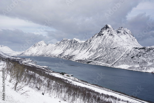 Grylle Fjord in Senja, Norway, Europe photo