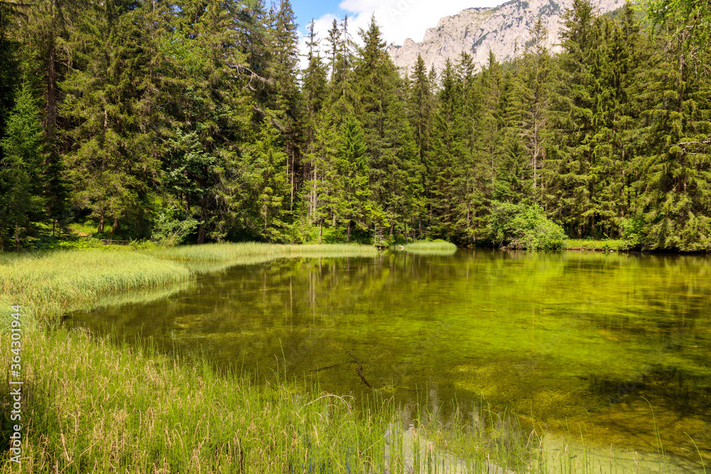 See im Wald 3 See im Wald 3